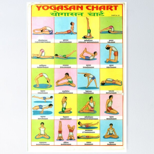 100 Yoga Poses Asanas Poster. Instructional Graphic Poster for