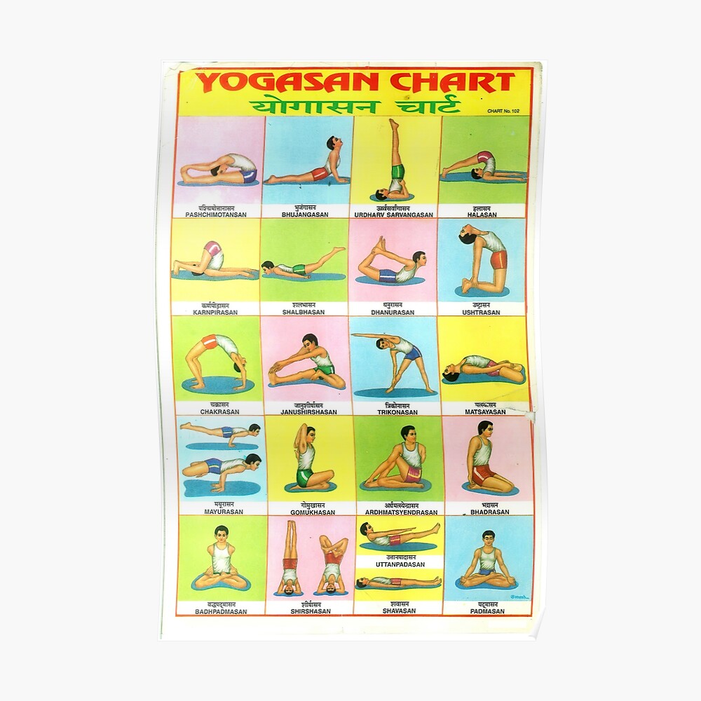 vintage illustrated chart from india yogasan yoga postures yoga poses chart rare vintage high quality sticker for sale by visiblecreation redbubble