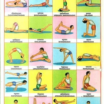 Yoga poses for concept balancing standing Vector Image