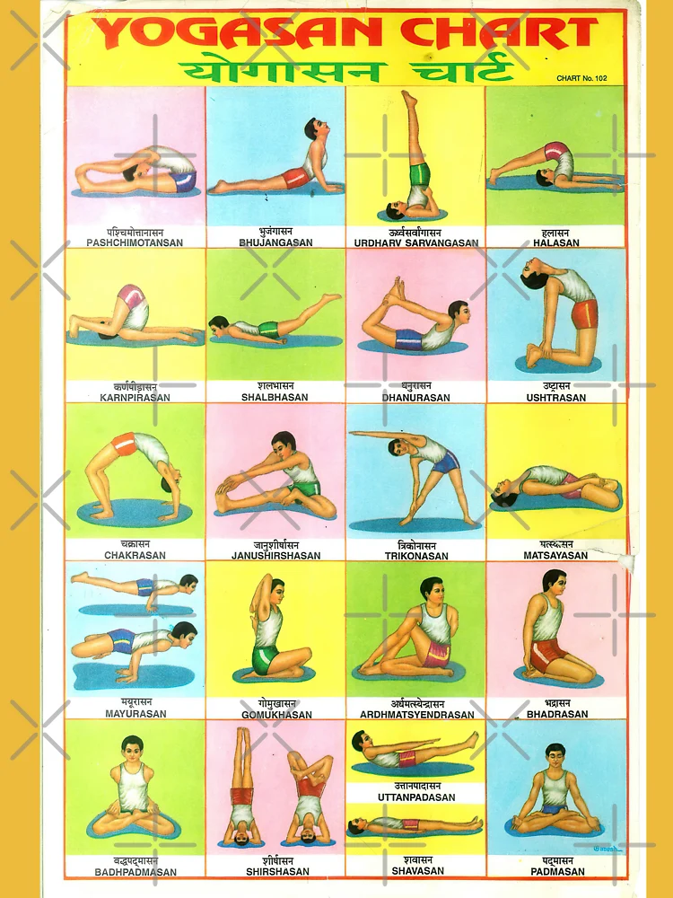 Yoga Poses Shirt, Pilates Class Tee, Yoga Poses Chart, Plank Warrior  Downward Dog Bridge Tree Chair Eagle Lotus Pose, Yoga Lover Tshirt -   Canada