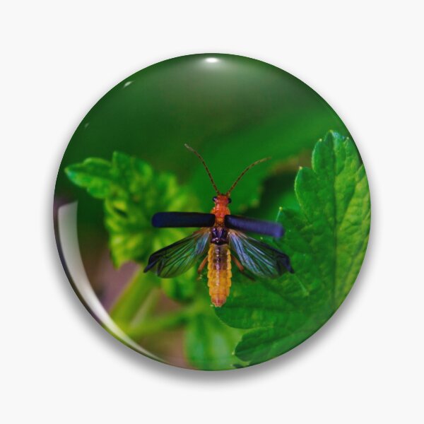 Item preview, Bug in the garden designed and sold by soulestial.