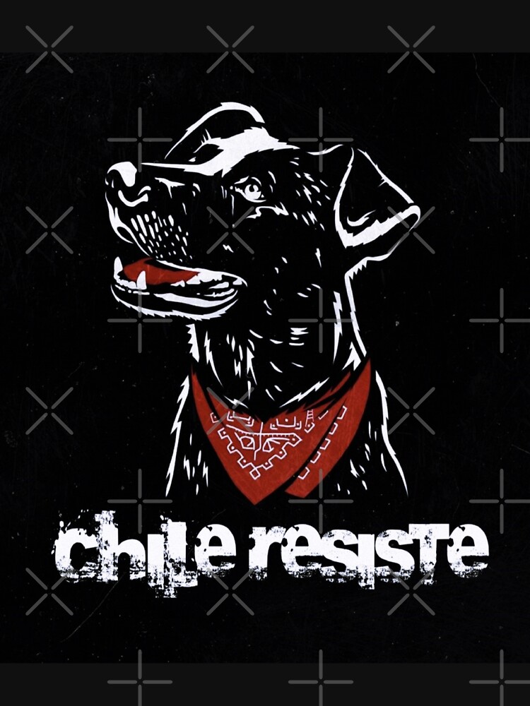 Negro Matapacos Riot Dog - Protest, Fare Evasion, Street Art - Socialist -  T-Shirt