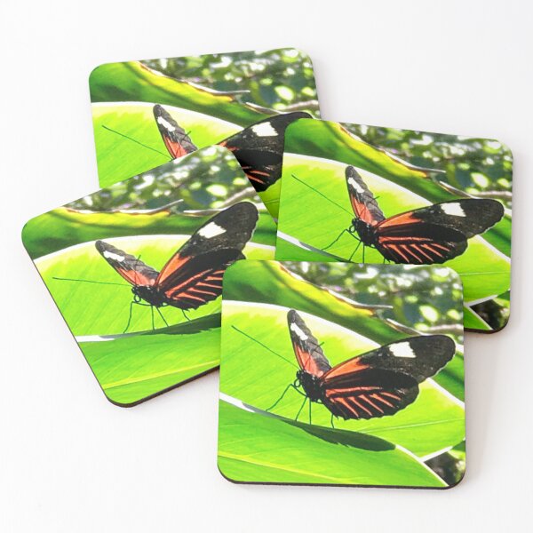 Item preview, Butterfly Art by Texanlisa designed and sold by speakupandshine.