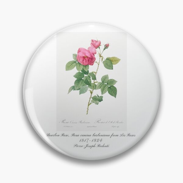 Item preview, Bourbon Rose, Rosa canina burboniana from Les Roses Pierre-Joseph Redouté Design designed and sold by EarthArtDesigns.