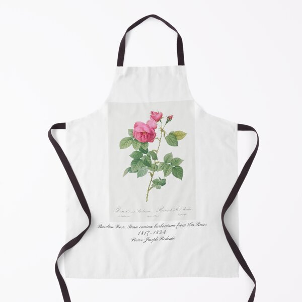 Item preview, Bourbon Rose, Rosa canina burboniana from Les Roses Pierre-Joseph Redouté Design designed and sold by EarthArtDesigns.