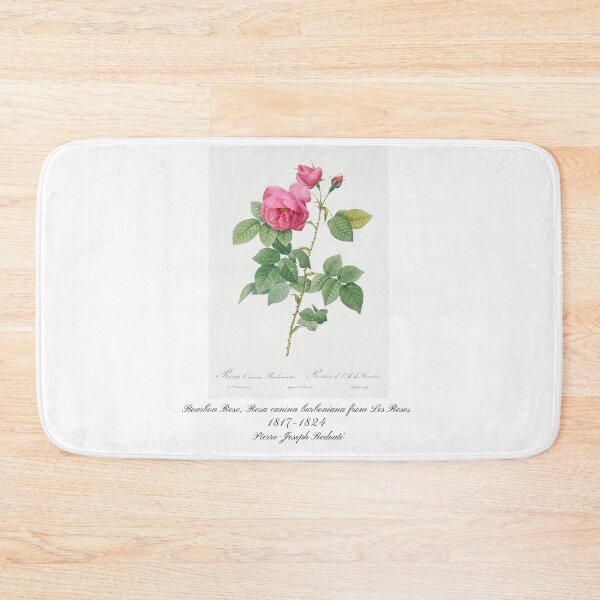 Item preview, Bourbon Rose, Rosa canina burboniana from Les Roses Pierre-Joseph Redouté Design designed and sold by EarthArtDesigns.