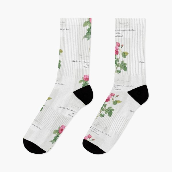 Item preview, Bourbon Rose, Rosa canina burboniana from Les Roses Pierre-Joseph Redouté Design designed and sold by EarthArtDesigns.