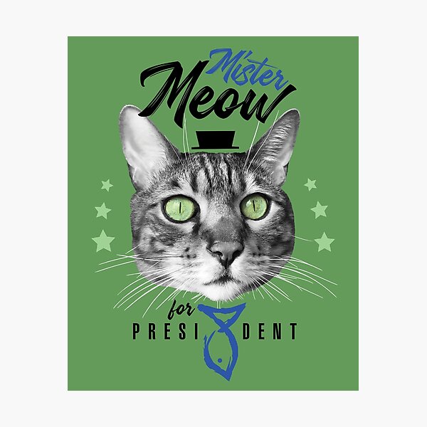 Mister Meow for president, chat en cravate avec chapeau, noir et blanc, fond vert Impression photo