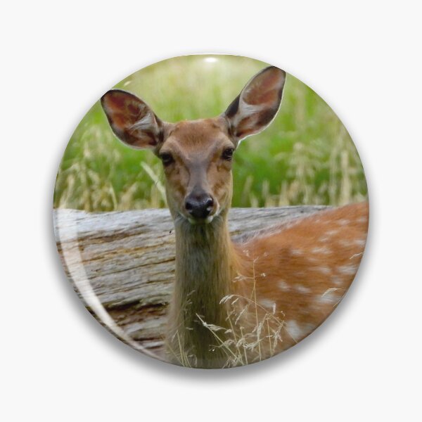 Item preview, A Beautiful Fallow Deer designed and sold by Karen Thomson.