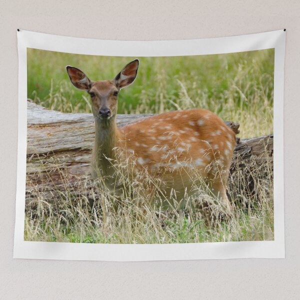 Item preview, A Beautiful Fallow Deer designed and sold by Karen Thomson.