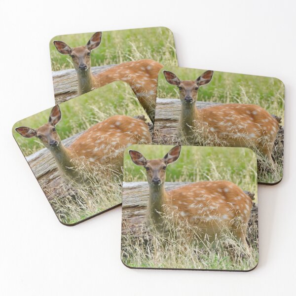 Item preview, A Beautiful Fallow Deer designed and sold by Karen Thomson.