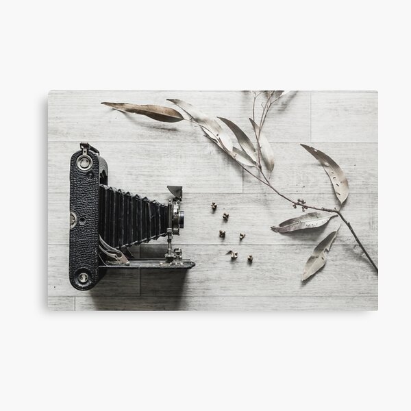 Still Life Number 1 Metal Print