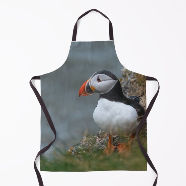 Item preview, Atlantic puffin (Fratercula arctica) designed and sold by Steve Liptrot Photography.