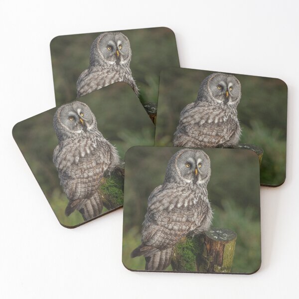 Item preview, Great Grey Owl designed and sold by Steve Liptrot Photography.