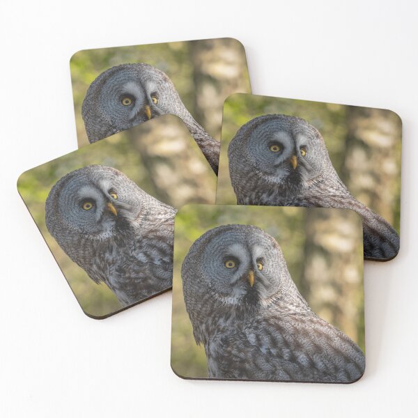 Item preview, Great Grey Owl designed and sold by Steve Liptrot Photography.
