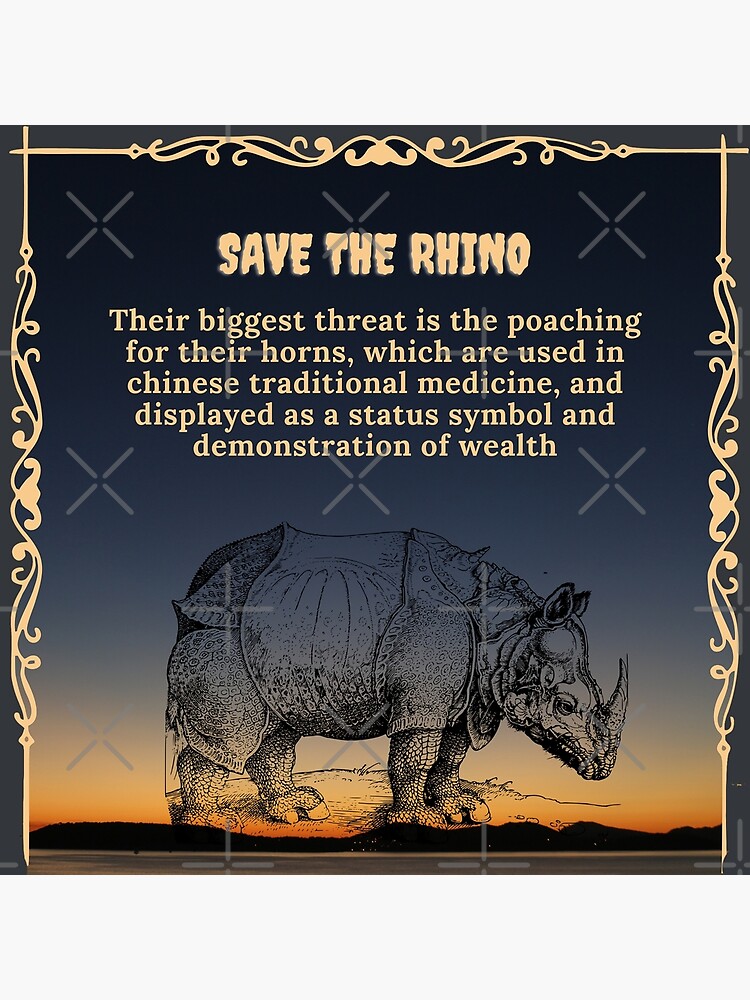 Save the Rhino!