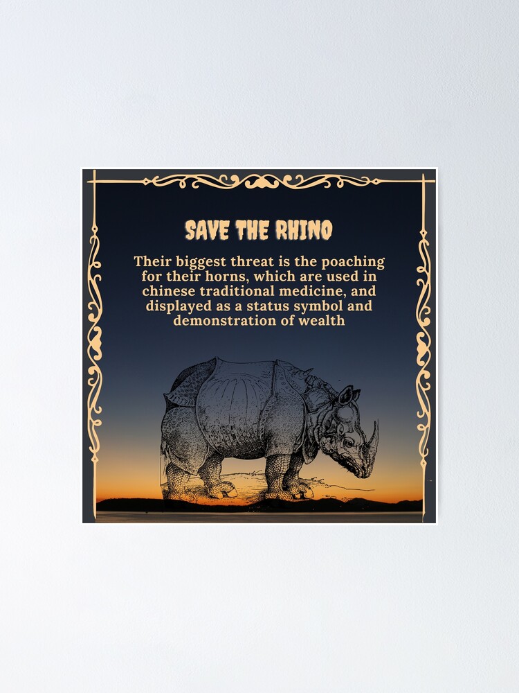 Save the Rhino!