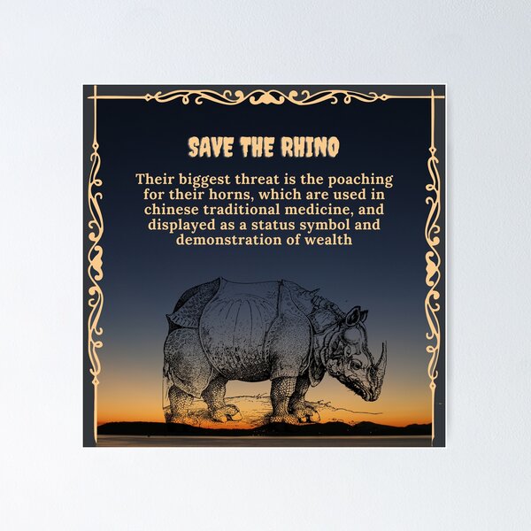 Save the Rhino!