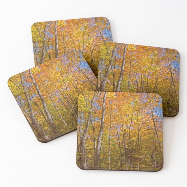 Item preview, Fall in the Forest designed and sold by Brian Shaw.