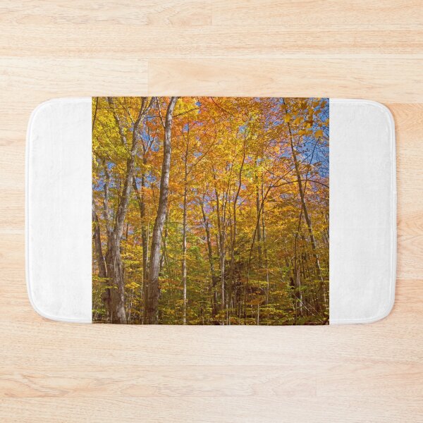 Item preview, Fall in the Forest designed and sold by Brian Shaw.
