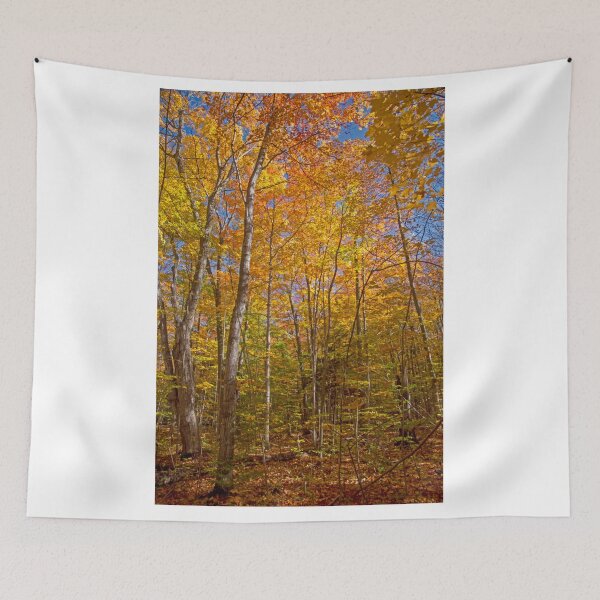 Item preview, Fall in the Forest designed and sold by Brian Shaw.