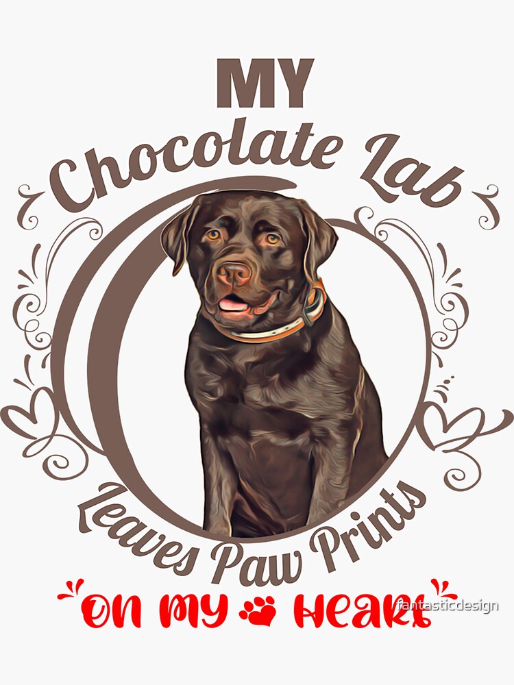 My chocolate hot sale lab