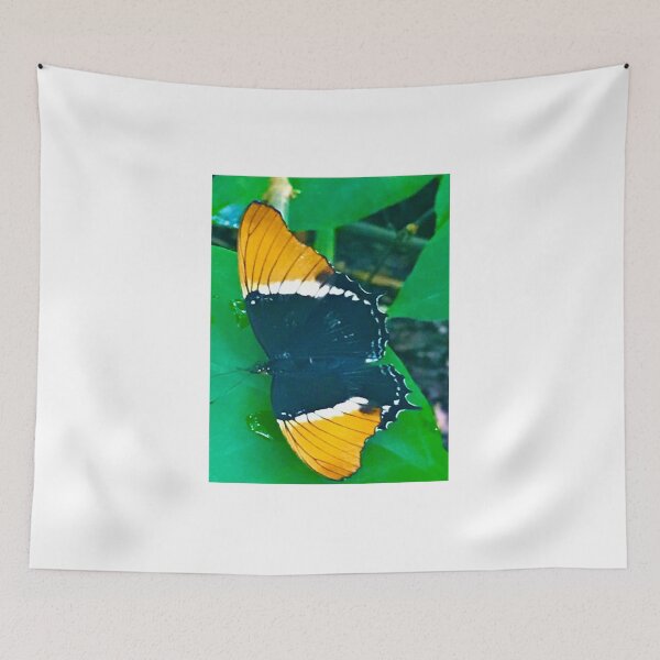Item preview, Original Butterfly Photo Art by Texanlisa designed and sold by speakupandshine.
