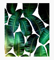 Cosmic Banana Leaves #redbubble #lifestyle Photographic Print