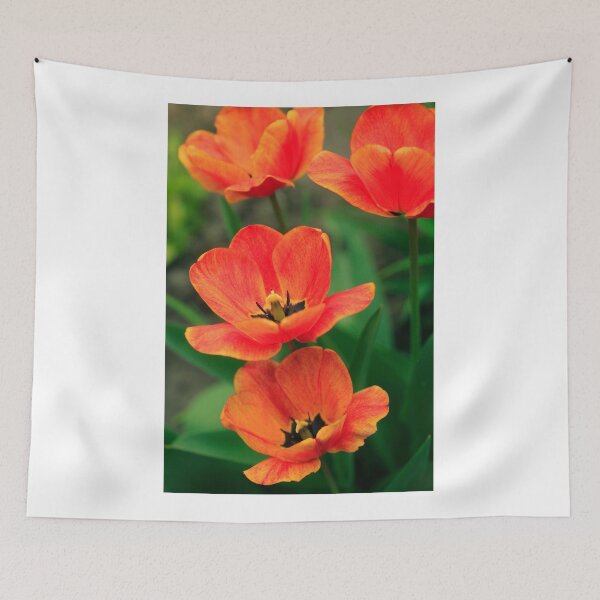 Aperçu de l'œuvre Tulipes orange sur fond de nature créée et vendue par olena2552.