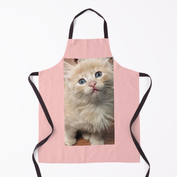 Item preview, Copy of Sweet Mainecoon ragdoll kitten designed and sold by Fluffycat2020.
