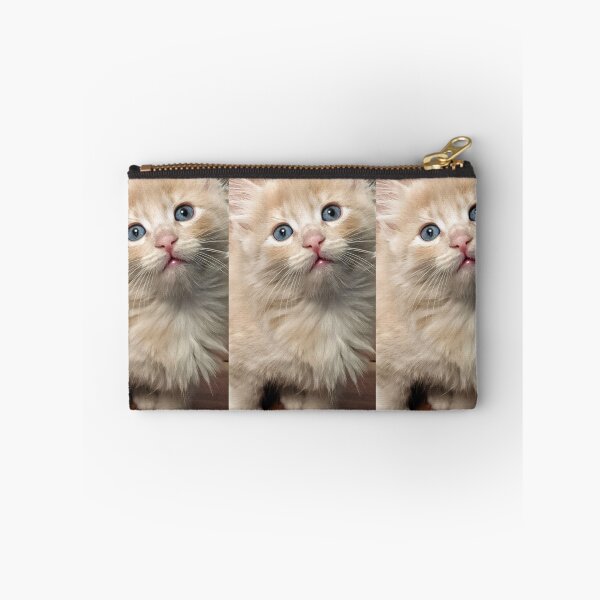 Item preview, Copy of Sweet Mainecoon ragdoll kitten designed and sold by Fluffycat2020.
