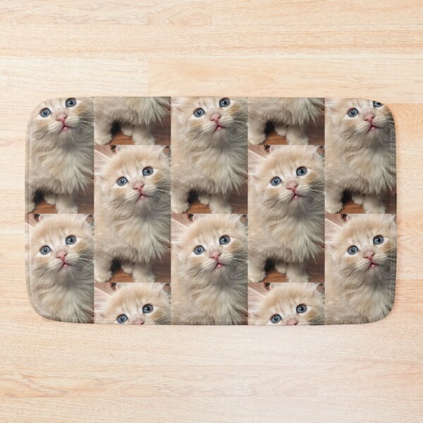 Item preview, Copy of Sweet Mainecoon ragdoll kitten designed and sold by Fluffycat2020.