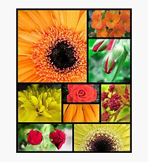 Macro Flowers Photographic Print