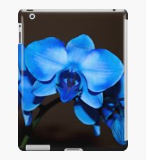 Swaying to the Blues iPad Case/Skin