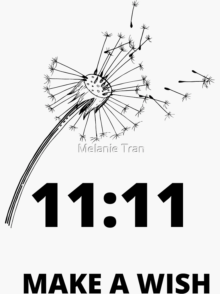 11:11 Make A Wish: Manifesting Journal