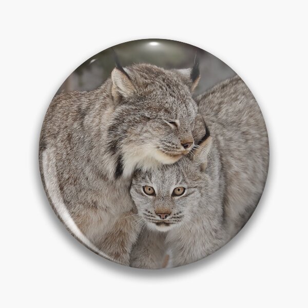 Item preview, Lynx Family designed and sold by mlorenz.