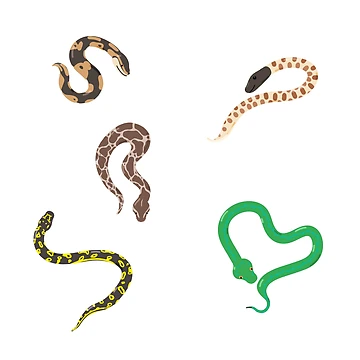 Artwork thumbnail, Python Party by clydeball
