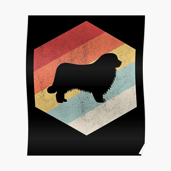 newfoundland dog art retro vintage newfoundland gift Poster