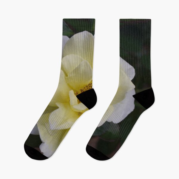 Item preview, Yellow Rose Flower Garden Landscape Bloom Petal Thorn designed and sold by Midwest-Goods.