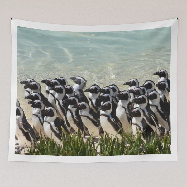 Item preview, A Fabulous Group Of Penguins designed and sold by Karen Thomson.