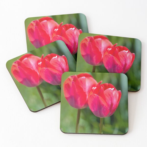 Item preview, Red Tulip Flowers Glowing in the Sunlight designed and sold by DAM Creative ⭐⭐⭐⭐⭐.