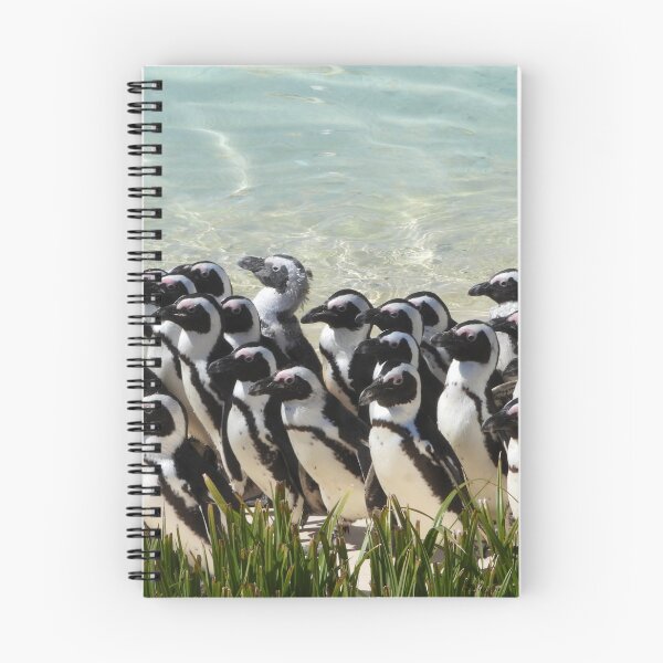 Item preview, A Fabulous Group Of Penguins designed and sold by Karen Thomson.