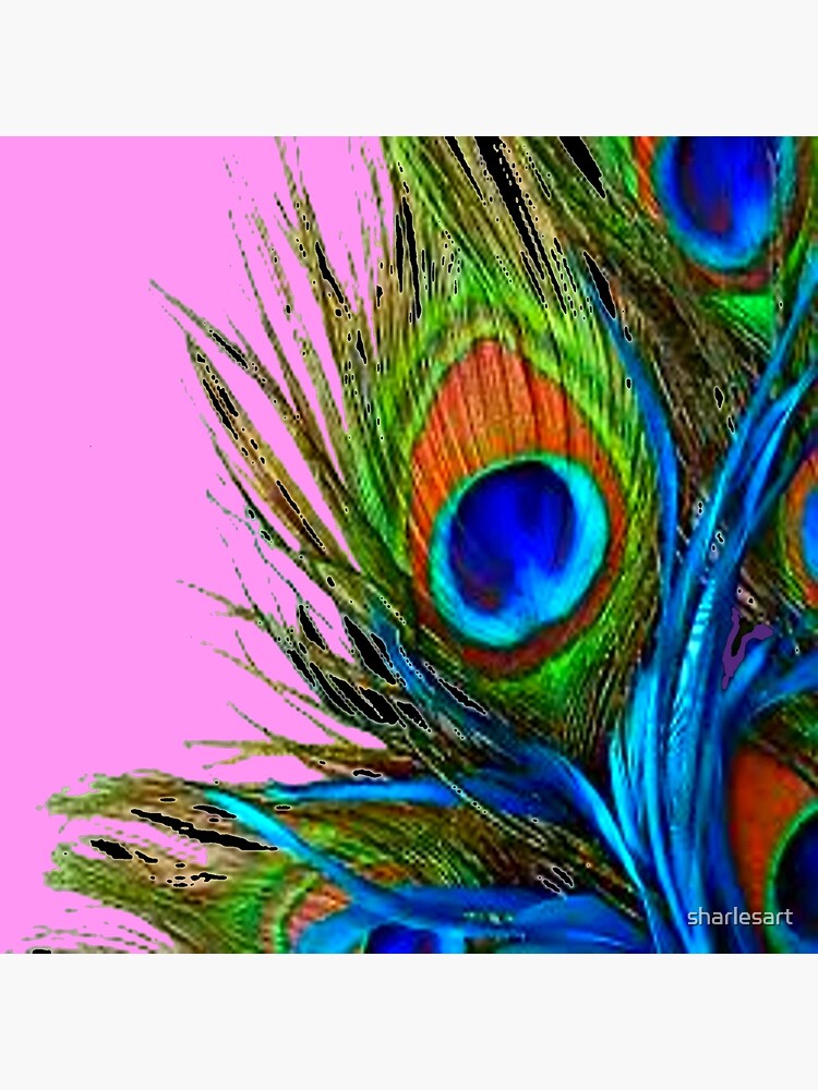 Peacock Feathers # 2 Abstract