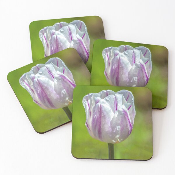 Item preview, White and Purple Tulip designed and sold by DAM Creative ⭐⭐⭐⭐⭐.