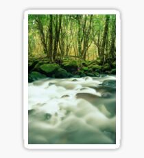 Mersey River Sticker