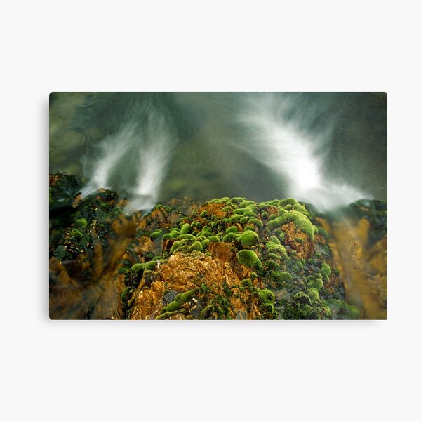 Stream detail, Cobungra River Metal Print