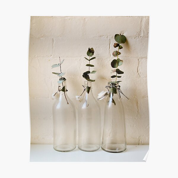 Glass bottles with eucalyptus leaves Poster