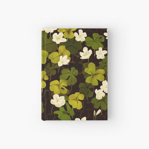 Endpapers from Etty Darwin and the Four Pebble Problem Hardcover Journal