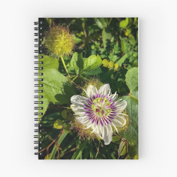 Item preview, Blooming Passion Flower in the Morning designed and sold by Mick DiArtist.