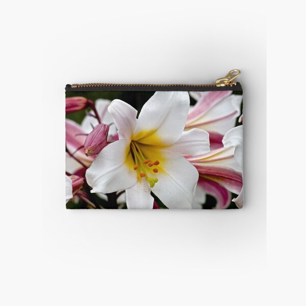 Item preview, Beauty Bountiful designed and sold by John Thurgood.